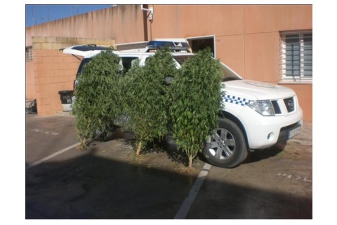 LA POLICÍA LOCAL DE ALCALÁ SE INCAUTA DE 15 KILOS DE CANNABIS