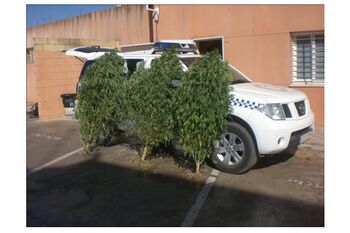 LA POLICÍA LOCAL DE ALCALÁ SE INCAUTA DE 15 KILOS DE CANNABIS