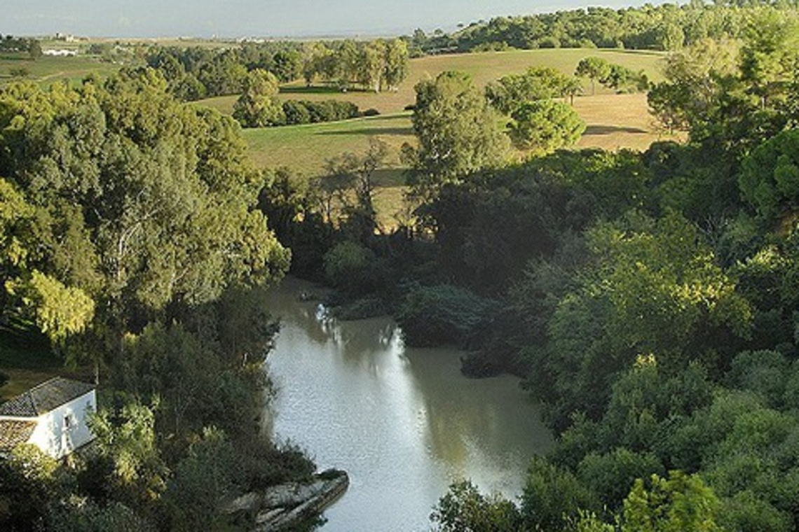EL AYUNTAMIENTO DENUNCIA UN VERTIDO CONTAMINANTE EN EL RÍO GUADAÍRA