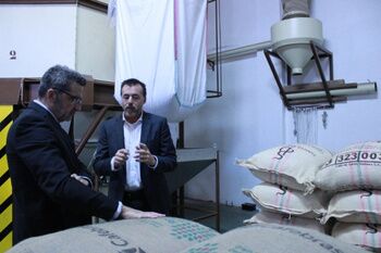 VARIEDAD DE AROMAS Y CLASES DE CAFÉ CIEN POR CIEN MADE IN ALCALÁ