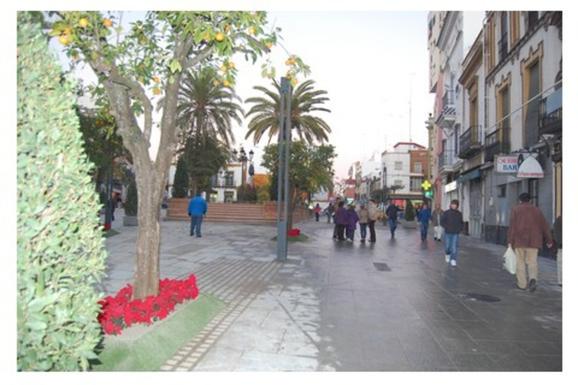 EL AYUNTAMIENTO IMPULSA UN PROGRAMA PARA LA REACTIVACIÓN DE LOCALES COMERCIALES EN EL CENTRO URBANO