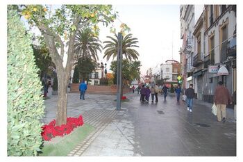 EL AYUNTAMIENTO IMPULSA UN PROGRAMA PARA LA REACTIVACIÓN DE LOCALES COMERCIALES EN EL CENTRO URBANO
