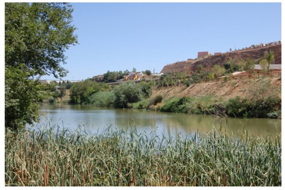 EL SEPRONA TENDRÁ PRESENCIA PERMANENTE EN LAS RIBERAS URBANAS DEL GUADAÍRA A SU PASO POR ALCALÁ