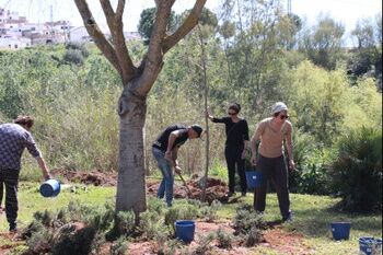 NUMEROSOS ALCALAREÑOS HAN PARTICIPADO ESTA MAÑANA EN LA CAMPAÑA DE PLANTACIÓN DE ÁRBOLES