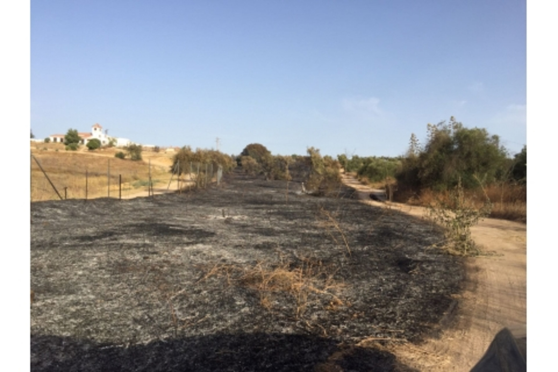 SOFOCADO CON RAPIDEZ EL INCENDIO DECLARADO ESTA TARDE EN ALCALÁ EN LA ZONA ARROYO DE MAESTRE