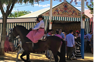 Se ultima el montaje del real de la Feria 2019 que este sábado acoge el pregón