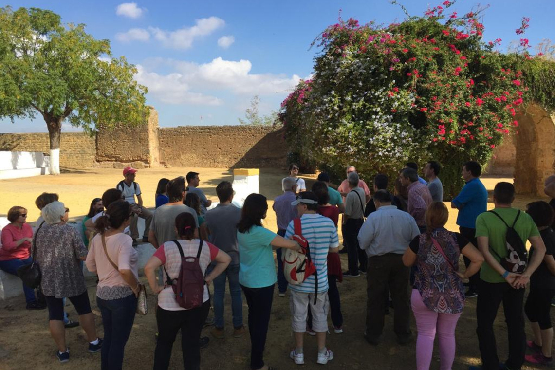 El programa municipal de sensibilización por el patrimonio local, Paseando  por Alcalá, llega a su mayoría de edad