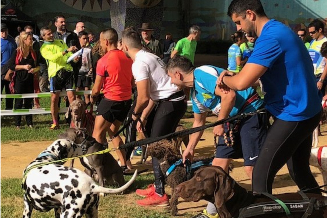 II Mushing Ciudad de Alcalá este domingo en el entorno de Oromana