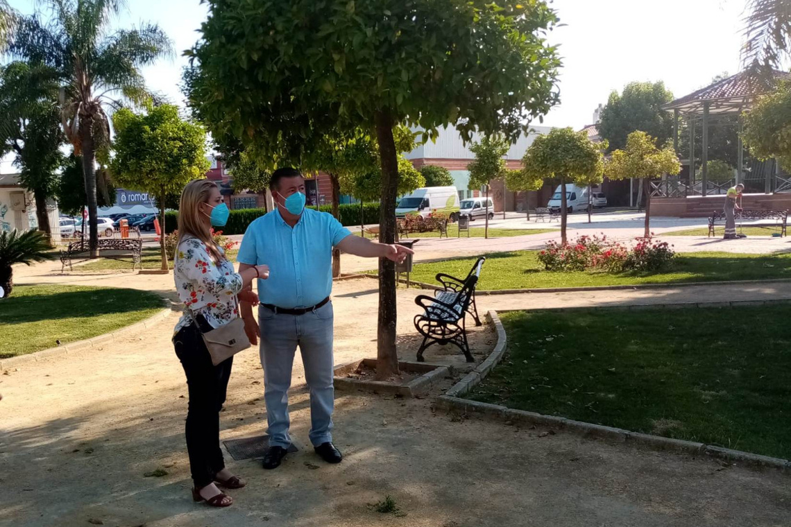 El Ayuntamiento mejora la iluminación de la Plaza Conde de Colombí y la barriada de San Rafael