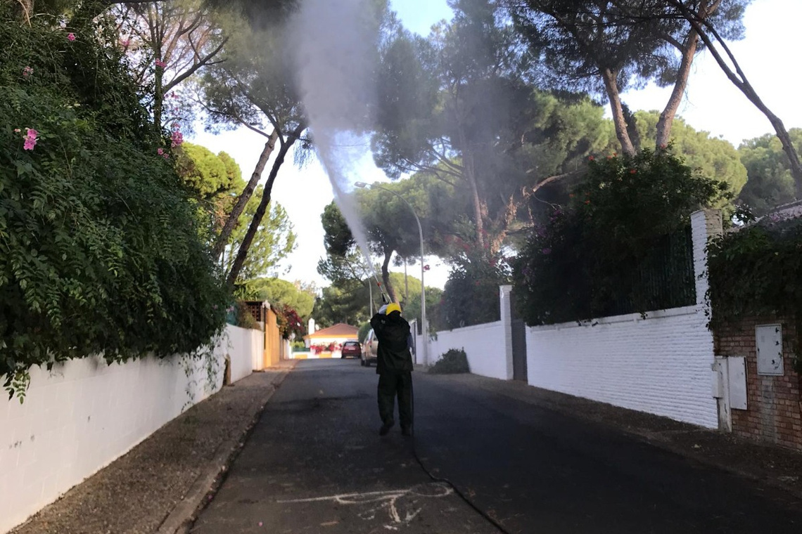 Fumigación contra el mosquito del virus del Nilo  junto al Guadaíra y parques urbanos