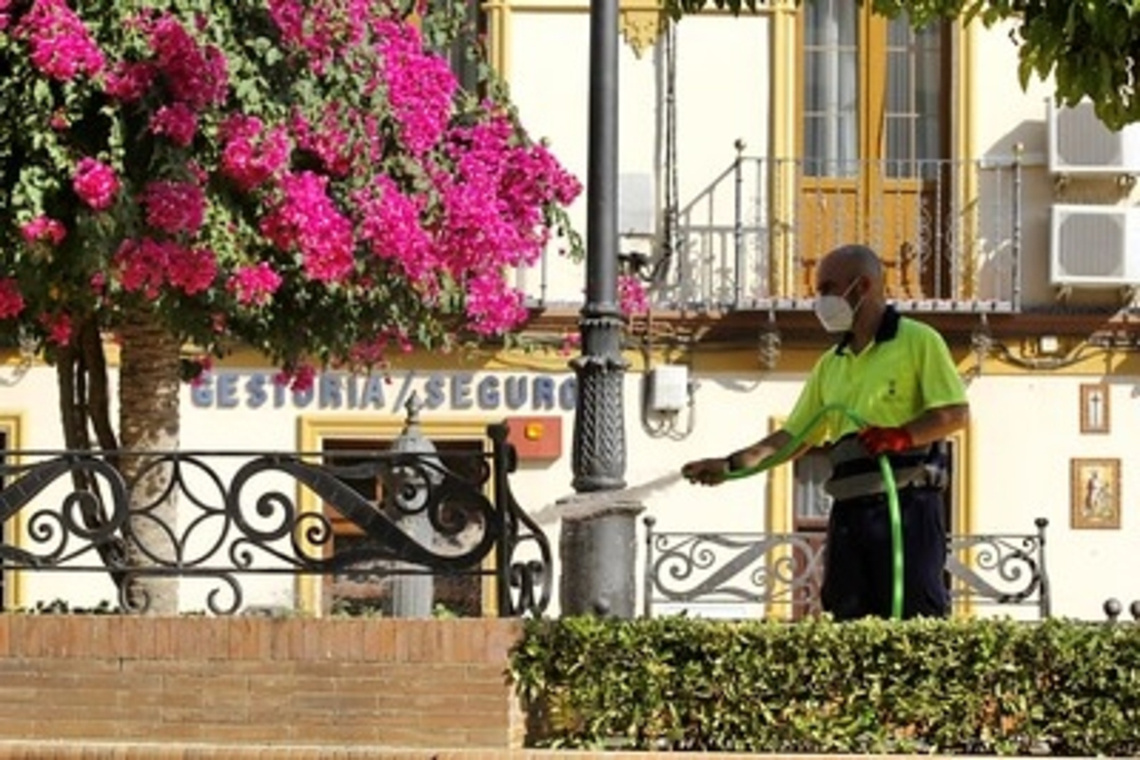 Proceso de selección de 124 personas desempleadas de Alcalá para paliar los efectos de la crisis sanitaria por el Covid-19