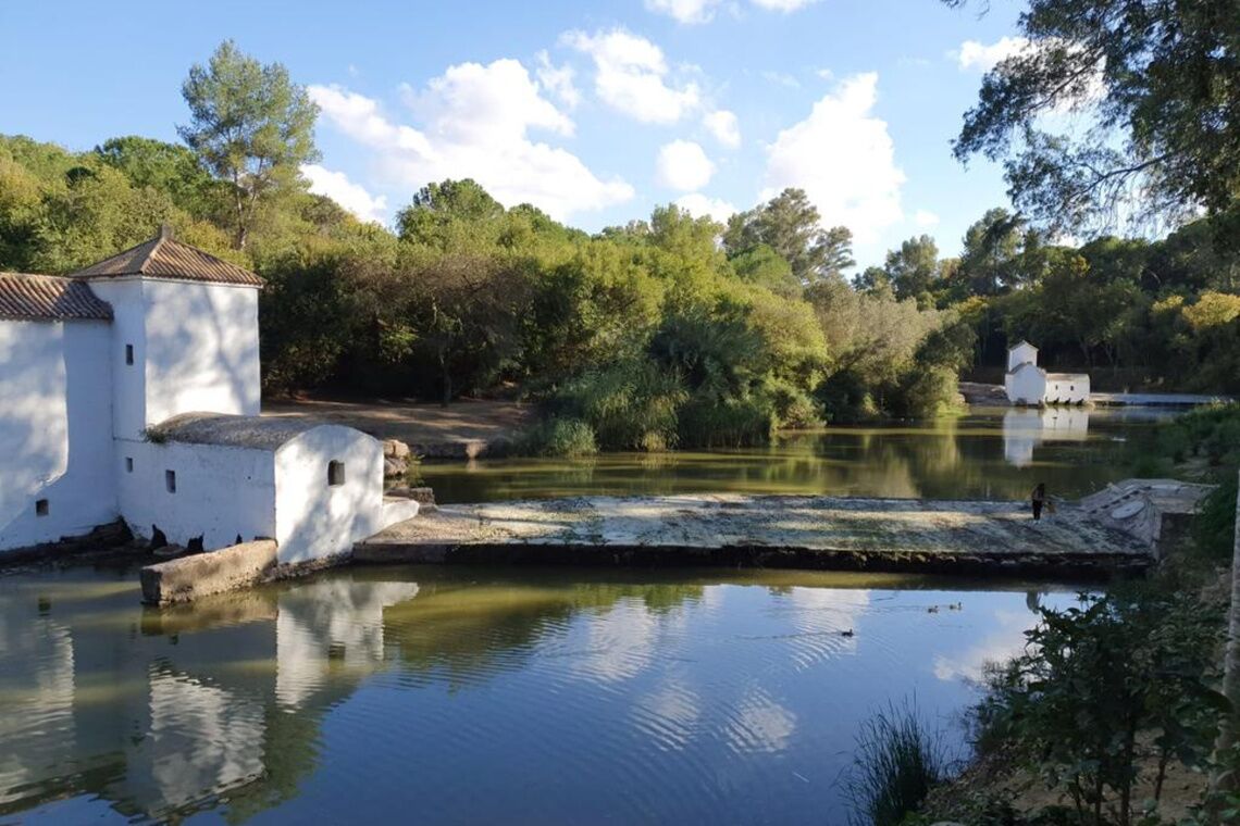 El Ayuntamiento pone en marcha el Consejo Sectorial de Transición Ecológica