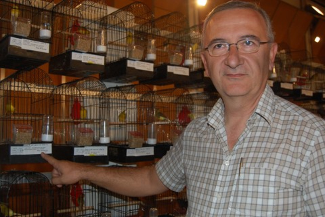 EL CONCURSO ORNITOLÓGICO DE ALCALÁ GANA PRESTIGIO CON SU NUEVA UBICACIÓN EN LA CASETA MUNICIPAL