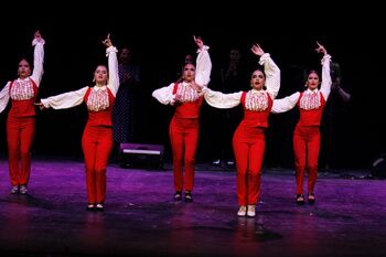 Concursos, exhibiciones, pasarela flamenca, stands en el II Salón Nacional de Danza y Moda de Sevilla celebrado en Alcalá