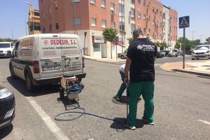 El Ayuntamiento ha realizado en este 2021 más de 230 actuaciones de desinsectación y desratización