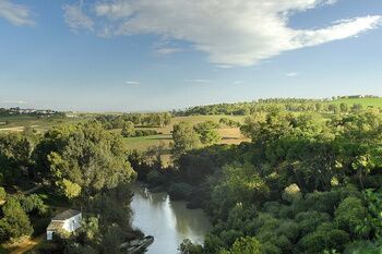 El Ayuntamiento ha alertado de forma temprana a las administraciones competentes de la mortandad de peces y reclama que se investigue