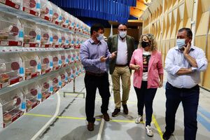Alcalá es estos días referente del mundo ornitológico nacional con la exposición de aves en la Caseta Municipal