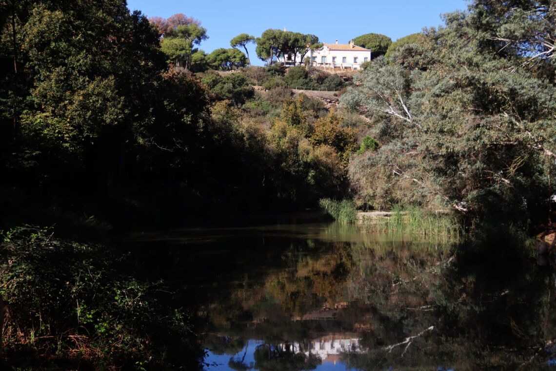 Abierto un dispositivo para localizar al jabalí detectado en Oromana