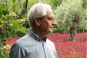 El genial Andrés Rábago llena de ‘Luciérnagas’ el Museo de Alcalá