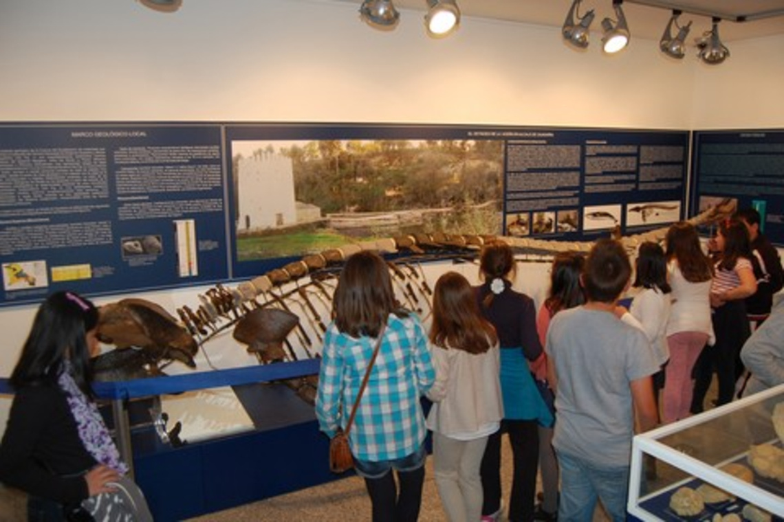 LA BALLENA DEL MUSEO YA TIENE NOMBRE
