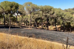 Controlado un incendio en el entorno de las Riberas del Guadaíra