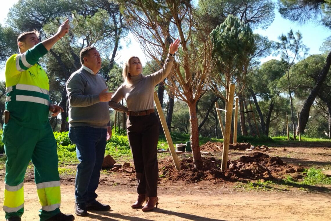 El Ayuntamiento reforesta con 750 pinos el Monumento Natural Riberas del Guadaíra
