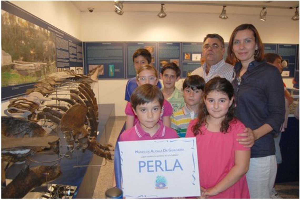 LA BALLENA DEL MUSEO SE LLAMA PERLA