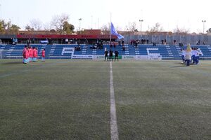 El Estadio Ciudad Alcalá lucirá césped nuevo para la próxima temporada