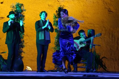 Galería gráfica del Festival Flamenco Manolito el de María