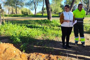 Jornada de reforestación en el entorno del parque de Oromana con una nueva plantación de 89 ejemplares de pinos