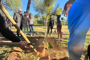 Jornada de reforestación colectiva en parque de Oromana