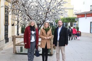 Alcalá da la bienvenida a la Navidad con el encendido del alumbrado y el gran árbol en la Plaza de la Almazara