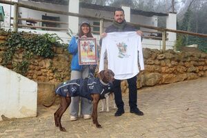 Alcalá se convierte en epicentro nacional deportivo con la celebración de la Copa de España de Mushing