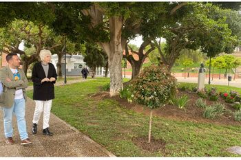 El Ayuntamiento desarrolla un plan integral de modernización del Parque Centro