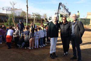 Un bosque en el patio del recreo del colegio San Mateo de Alcalá