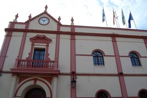 LA  POLICÍA LOCAL DETIENE A CINCO PERSONAS POR PINTADAS EN DIVERSAS ZONAS DE LA CIUDAD EN EL MES DE JULIO
