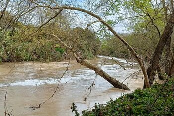 El Ayuntamiento denuncia ante el Seprona los últimos vertidos contaminantes al río Guadaíra