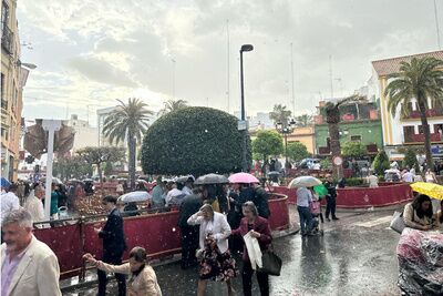 La lluvia obligó a anticipar el final del Domingo de Ramos en Alcalá. Galería de fotos