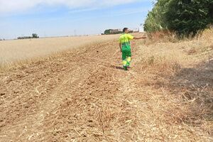 El Ayuntamiento ha finalizado el desbroce de los solares de su propiedad y realiza ejecuciones subsidiarias en solares privados