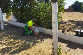 Puesta a punto de plazas y zonas verdes para los cultos a la patrona