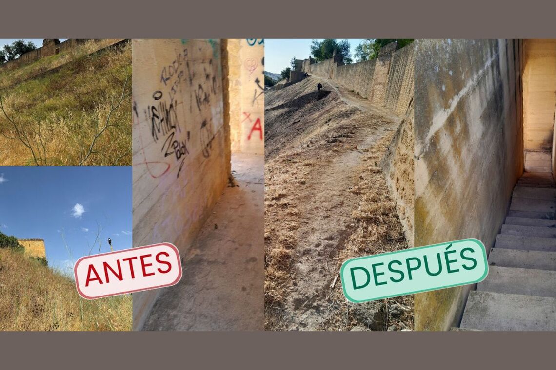 Intervención municipal de limpieza y desbroce en las laderas del Castillo
