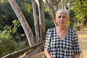 Proyecto para la limpieza y recuperación del cauce del río Guadaíra a su paso por el casco urbano de Alcalá