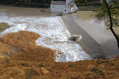 El Ayuntamiento denuncia ante el SEPRONA un nuevo vertido contaminante al rio Guadaíra