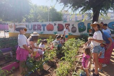 Apoyo municipal a medio centenar de proyectos de conocimiento y convivencia en los centros educativos
