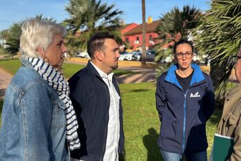 Comienza la segunda fase del Plan de Reforestación de la ciudad