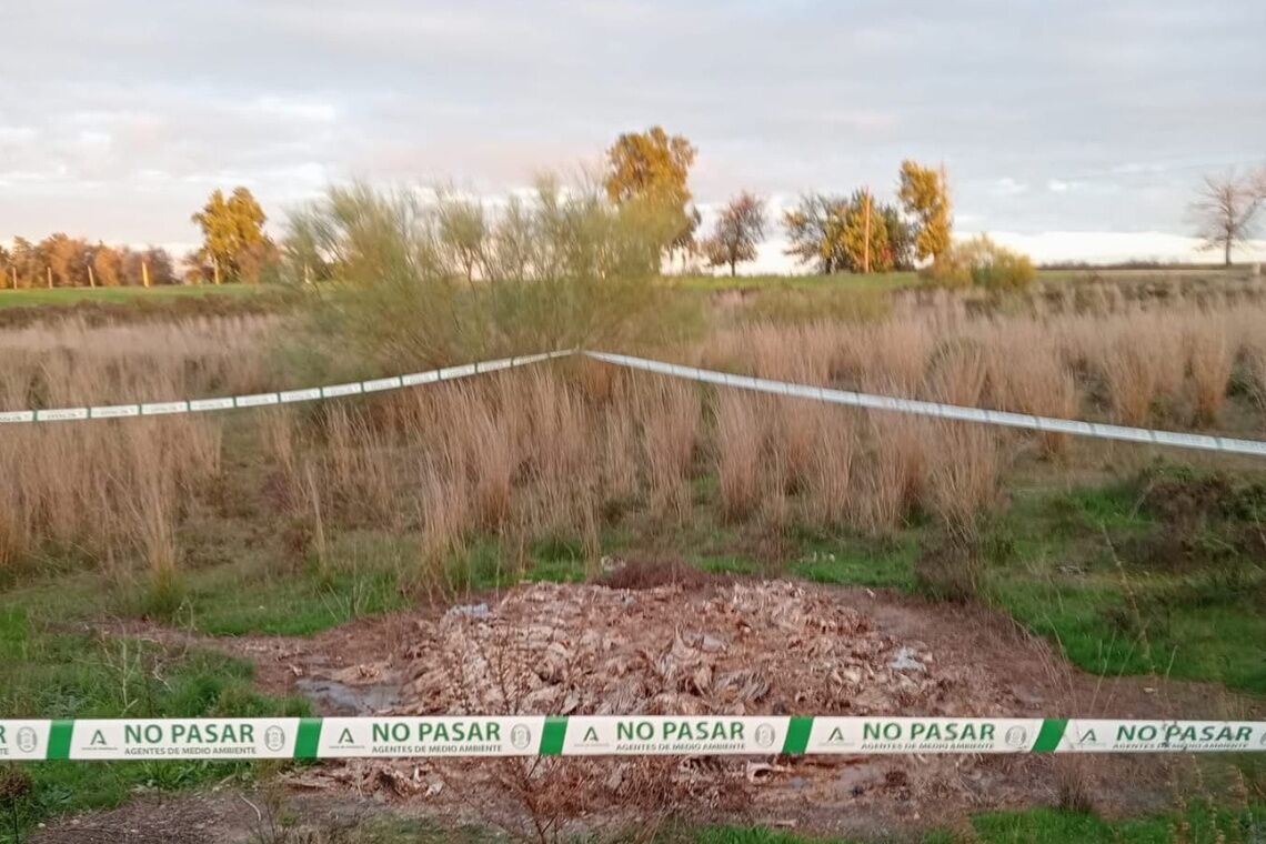 Ayuntamiento y Policía Local trasladan a la Consejería de Medio Ambiente el hallazgo de aves muertas en la zona de La Boticaria