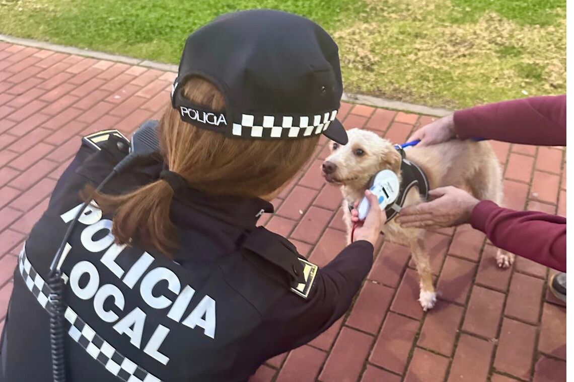 La Policía Local intensifica la vigilancia y exigirá identificación animal y utensilios obligatorios