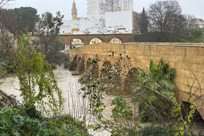 BALANCE provisional de la borrasca Leonardo en Alcalá de Guadaíra