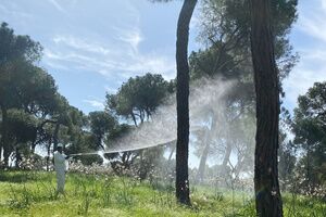 ​Alcalá trata contra la ‘procesionaria’ del pino en más de 25 hectáreas de parques públicos y zonas verdes
