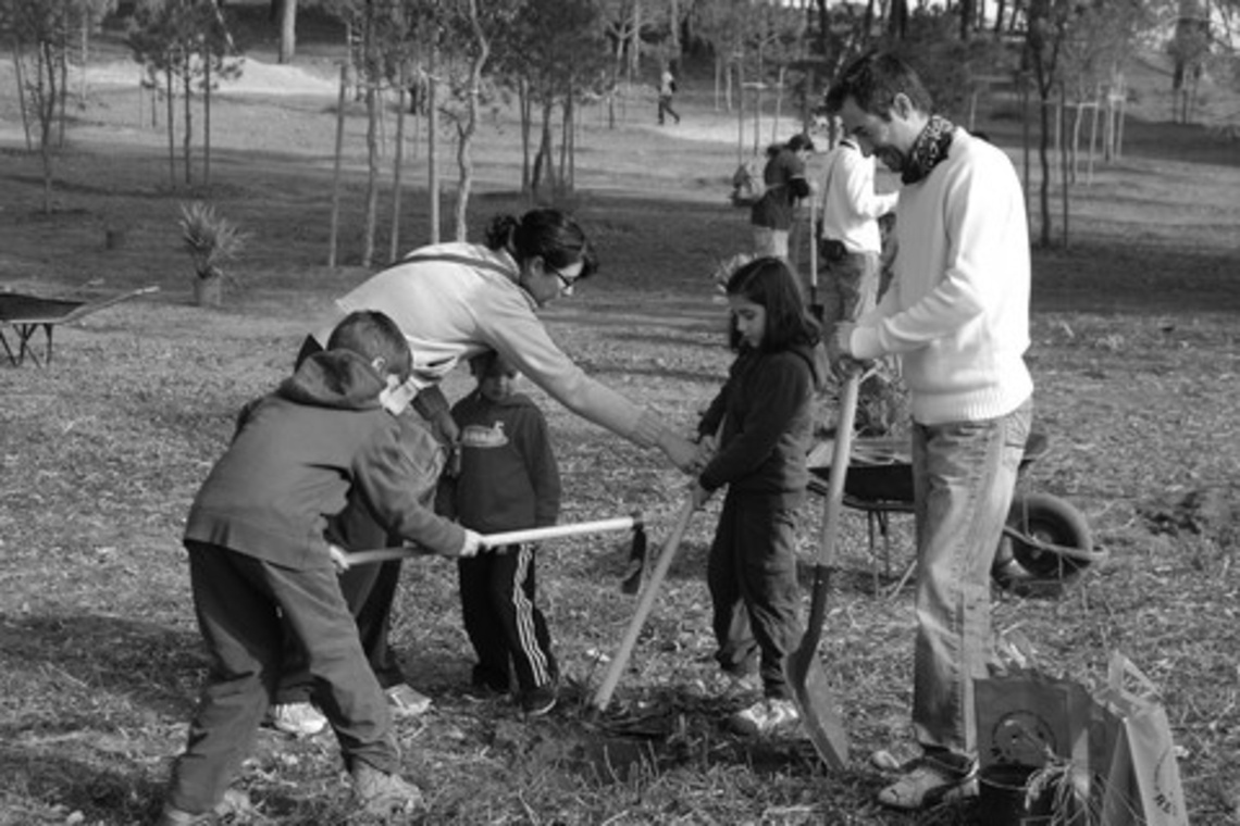 PLANTACIÓN POPULAR EN LA RIBERA DEL GUADAÍRA